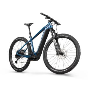 Radon JEALOUS HYBRID 9.0 750